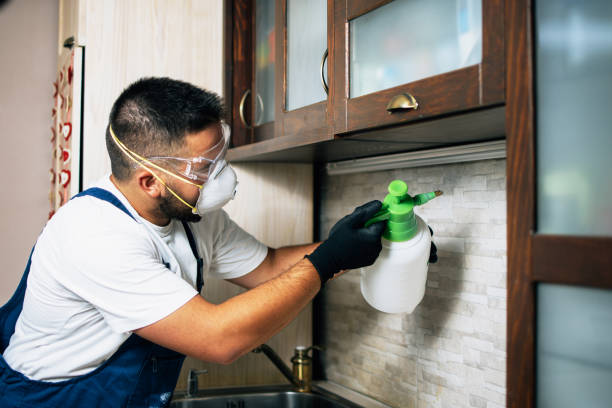 Best Ant Control Services  in Crystal River, FL