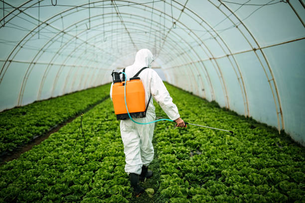 Best Pest Prevention Services  in Crystal River, FL