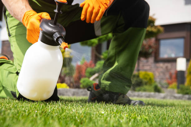 Flea Control Services in Crystal River, FL