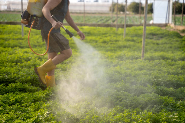 Pest Control for Restaurants in Crystal River, FL