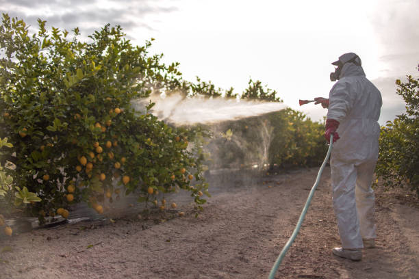 Pest Control Cost in Crystal River, FL