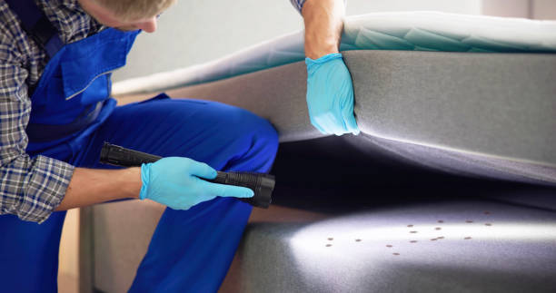 Best Pest Control for Restaurants  in Crystal River, FL