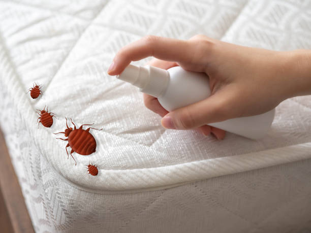 Best Emergency Pest Control  in Crystal River, FL